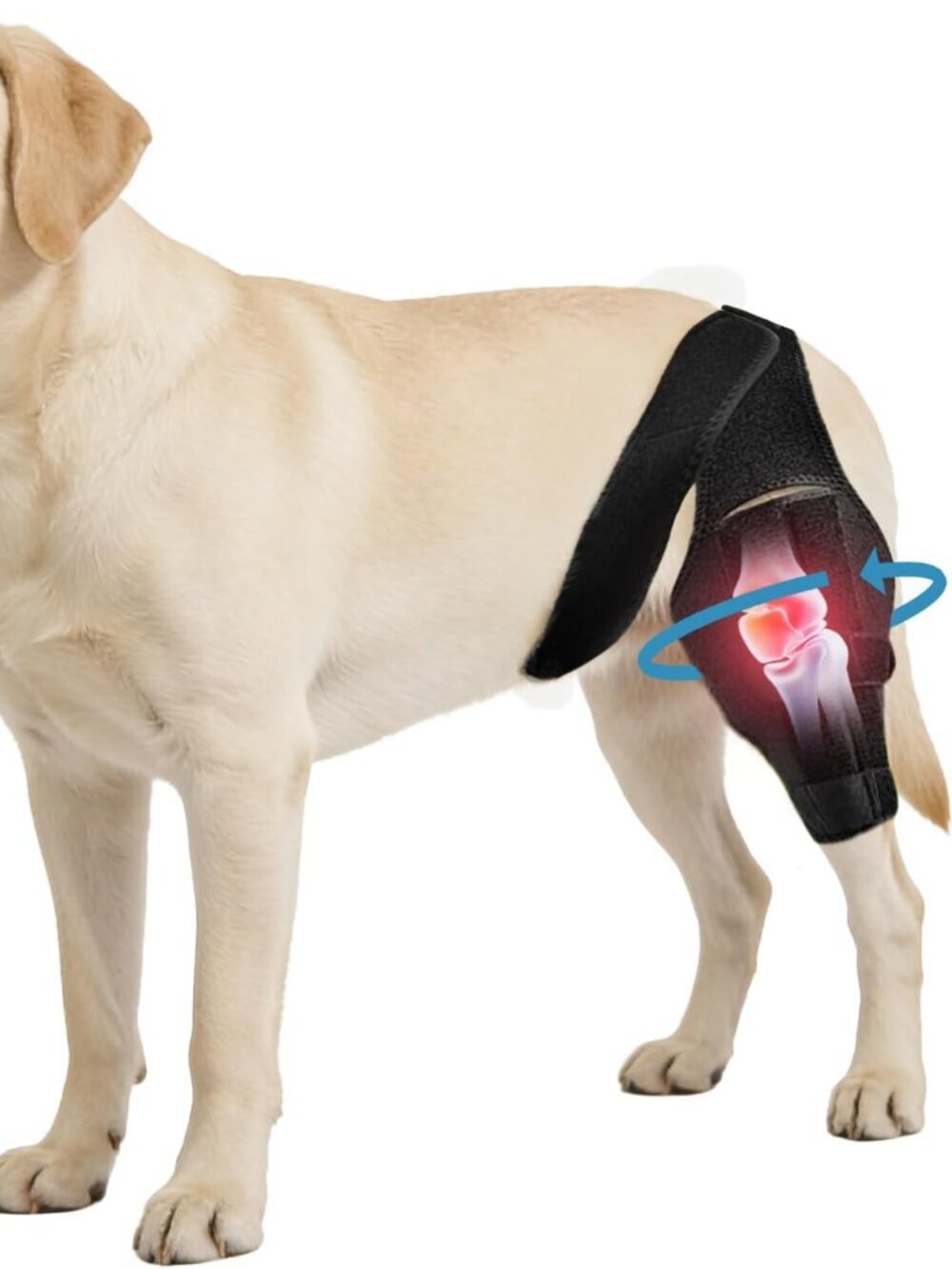 Dog Knee Brace for Torn ACL/CCL & Hind Leg Support